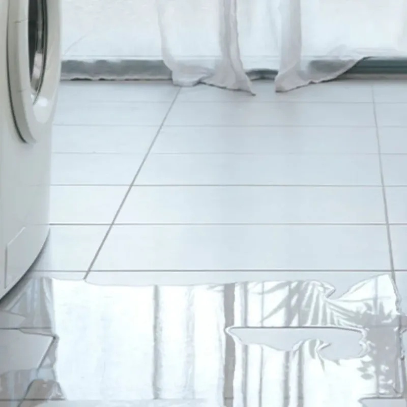 Appliance Leak Cleanup in Cross Plains, WI