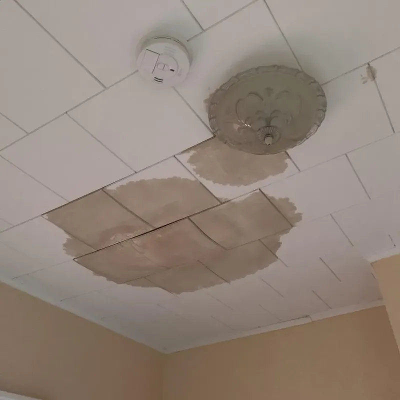 Ceiling Water Damage Repair in Cross Plains, WI