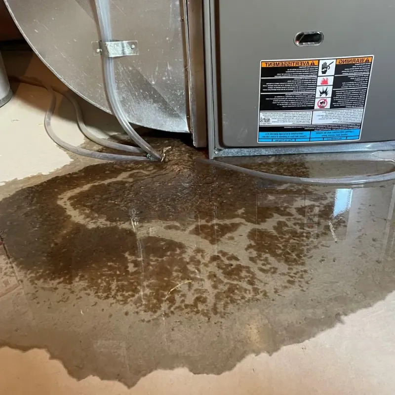 Pipe Burst and Leak Restoration in Cross Plains, WI