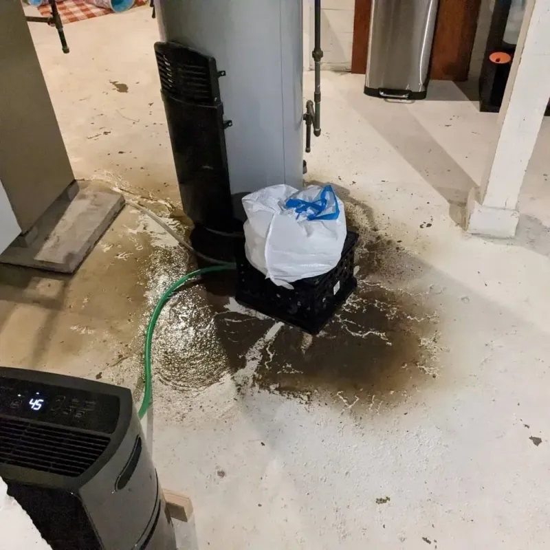 Sewage Backup Cleanup Service in Cross Plains, WI